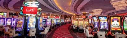 win 166 bet